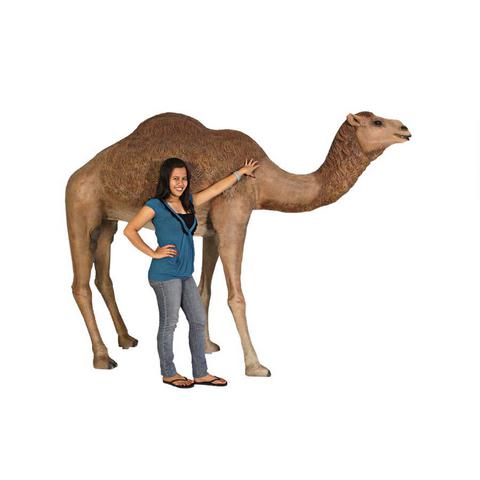 Camel Statue (Life Size)
